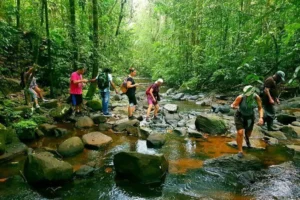 Sri Lanka nature escapes Island Treks rainforest walk