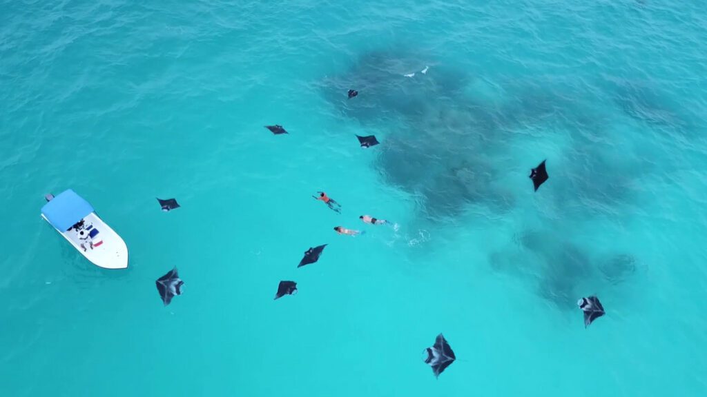 Visit Baa Atoll Maldives