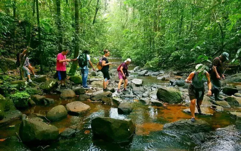 Sri Lanka nature escapes Island Treks rainforest walk