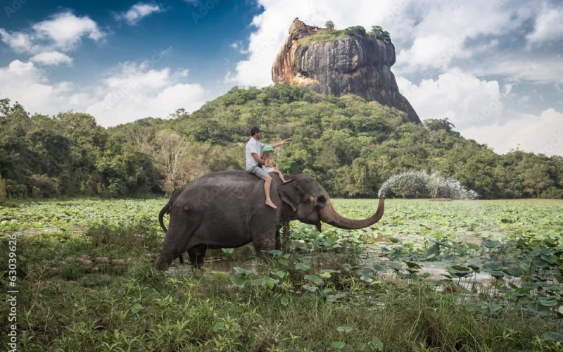 Sigiriya Rock Fortress Sri Lanka