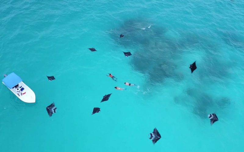 Visit Baa Atoll Maldives